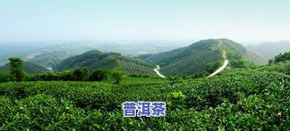 浉河港茶山图片，信阳毛尖的故乡：浉河港茶园美景