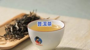 至正普洱茶-致正普洱茶