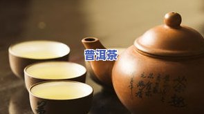 更好的普洱茶是什么茶，寻找更佳口感：探索更好的普洱茶种类