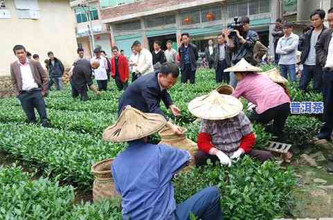 安溪茶叶市场大不大-安溪茶叶市场大不大呀