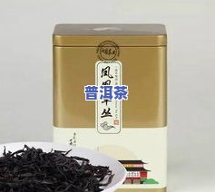 什么品种茶叶香味大又好喝，寻找好喝的茶叶？试试这些香味浓郁的品种！