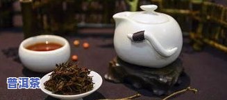 什么品种茶叶香味大又好喝，寻找好喝的茶叶？试试这些香味浓郁的品种！