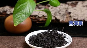 更大的茶叶是啥品种，探索茶叶世界：哪种茶叶更大？