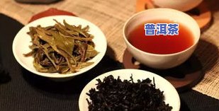 普洱茶哪个最贵，探秘高端普洱茶市场：哪些的普洱茶价格更高？