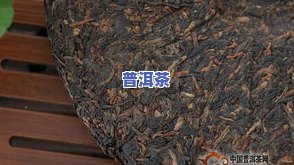 贡范普洱茶-贡一普洱