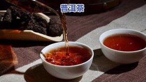 普洱茶怎样闷泡更好，普洱茶的正确闷泡方法，让你品味出更好的口感！