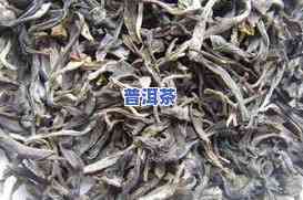 冰岛普洱茶是绿茶吗，冰岛普洱茶：它是绿茶吗？