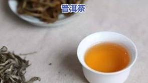 普洱茶问雨-普洱茶百问