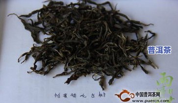 普洱茶问雨-普洱茶百问