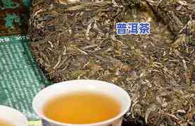 冰岛普洱茶的禁忌和副作用是什么，探讨冰岛普洱茶的饮用禁忌与潜在副作用