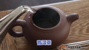 紫砂壶可以泡普洱生茶吗，探讨紫砂壶与普洱生茶的完美搭配