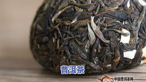 青普洱茶的功效与作用，探秘青普洱茶的神奇功效与作用