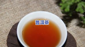 青衣普洱茶-普洱茶茶青