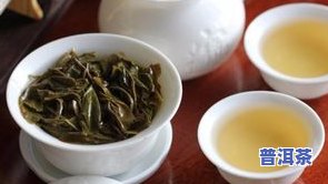 青衣普洱茶-普洱茶茶青