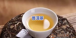 摩达普洱茶价格，摩达普洱茶价格全揭秘，让你了解真正的价值！