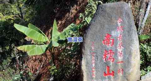 黄田普洱茶-黄田普洱茶怎么样