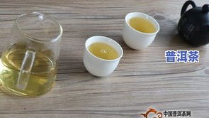 老班章：普洱茶区中的王者，究竟为何被誉为更好的茶？