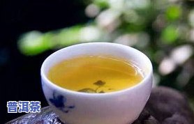 普洱茶哪里正宗-哪里的普洱茶正宗