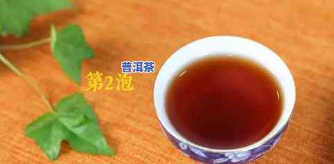 福海熟茶哪款好-福海熟茶哪款好喝