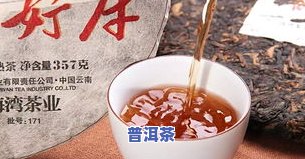 福海熟茶哪款好-福海熟茶哪款好喝