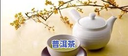 呼兰普洱茶-呼兰茶庄