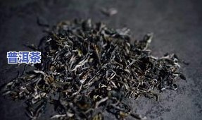 古树普洱茶临沧市场价格-临沧古树普洱茶生茶价格