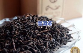 乔木原生态普洱茶好吗吗-乔木原生态普洱茶好吗吗值得买吗