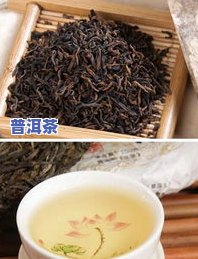 冲泡普洱茶的六大禁忌是-冲泡普洱茶的六大禁忌是什么