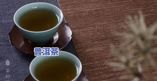 冲泡普洱茶的六大禁忌是-冲泡普洱茶的六大禁忌是什么