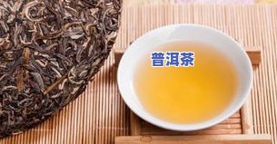 普洱茶排行榜，揭秘！2023年最新普洱茶排行榜，哪款值得你购买？