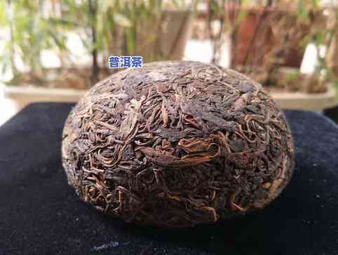 那家普洱茶-那家普洱茶做易武