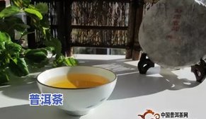 云南古云沧普洱茶，探寻云南古韵：品鉴云沧普洱茶的特别魅力