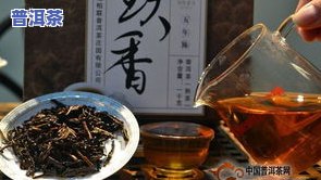 老茶典黄金岁月普洱，品味岁月沉淀，探寻老茶典的黄金普洱魅力