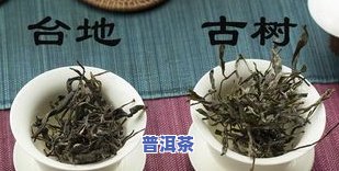 普洱茶怎么掰下来，普洱茶的正确采摘方法：如何掰下来？