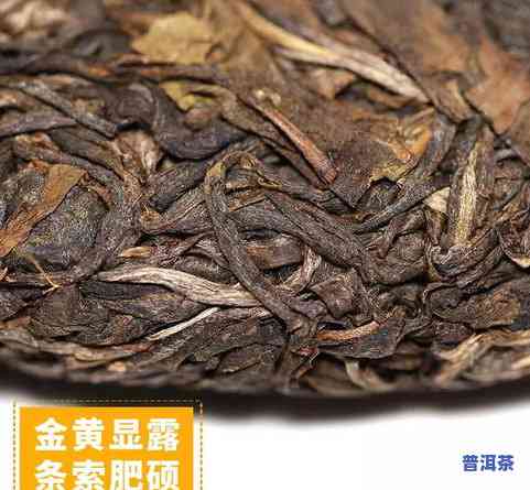 普洱茶全盛时期产地是哪里-普洱茶全盛时期产地是哪里的