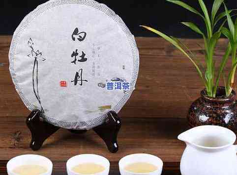 福建大白茶茶饼-福建大白茶茶饼保质期