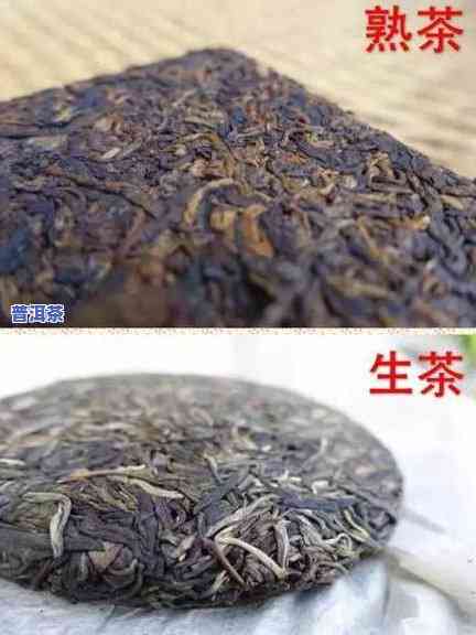 普洱茶生茶熟茶的存储方法有哪些，怎样存储普洱茶生茶和熟茶？全面指南