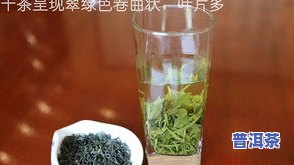 菊花普洱茶下火吗，探讨菊花普洱茶的降火功效