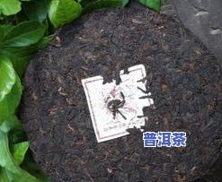 古树普洱茶饼价格，深度解析：古树普洱茶饼的市场价格与品质关系