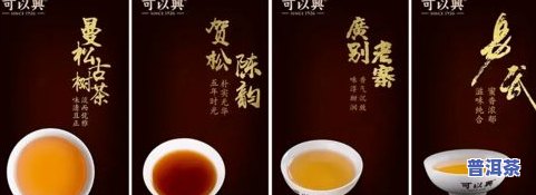 普洱茶生茶与熟茶：哪一种更好？收藏与存放比较