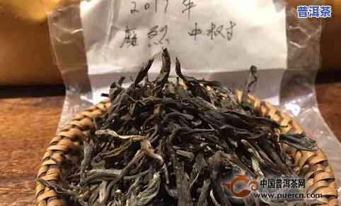 磨烈普洱茶价格，探究磨烈普洱茶的市场价格，让您熟悉最新行情！