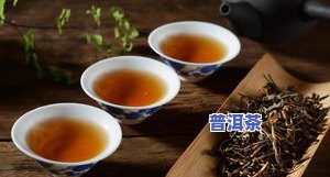 普洱茶点搭配，品味云南：探索普洱茶点的完美搭配