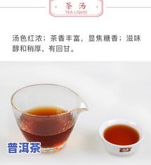 72普洱茶-7572普洱茶