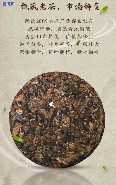 广福心道的茶怎么样，探究广福心道茶叶的品质与口感，你值得拥有！