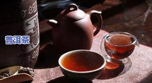 普洱茶怎么泡茶-普洱茶怎么泡茶好喝