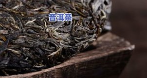 普洱茶叶沉底，探索普洱茶叶的世界：为什么它们会沉到底部？