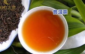 普洱茶叶沉底，探索普洱茶叶的世界：为什么它们会沉到底部？