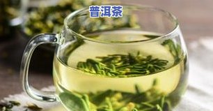 莲叶普洱茶-普洱莲子茶