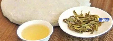 普洱茶茶点，品味云南风情：探索普洱茶与茶点的完美搭配