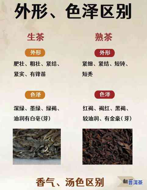 同兴号普洱茶厂简历，挖掘普洱茶文化：探索同兴号普洱茶厂的前世今生